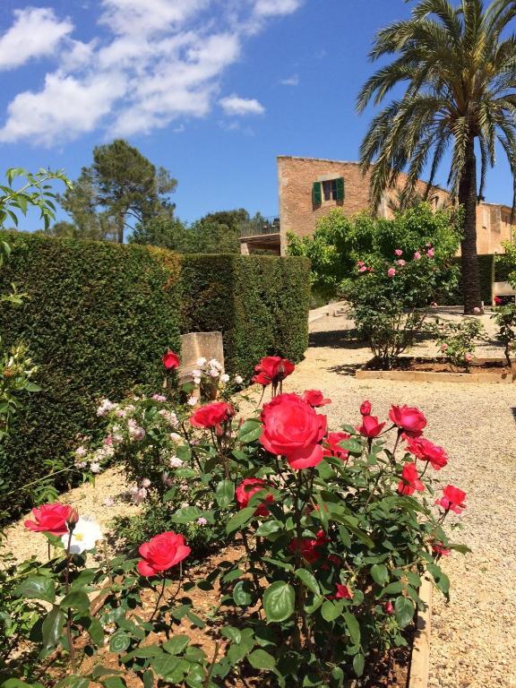 Casa Rural Son Bernadinet Campos  Exterior photo